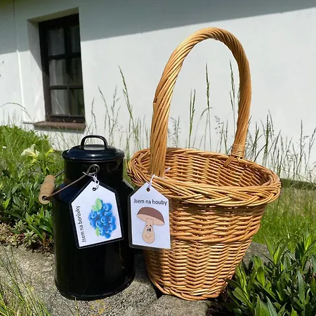 Holiday home U Brouka Nova Bystrice