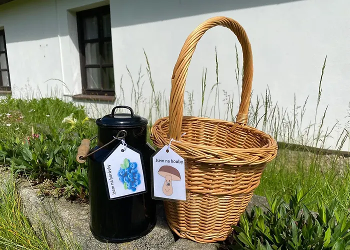 Сasa de vacaciones U Brouka Nová Bystřice